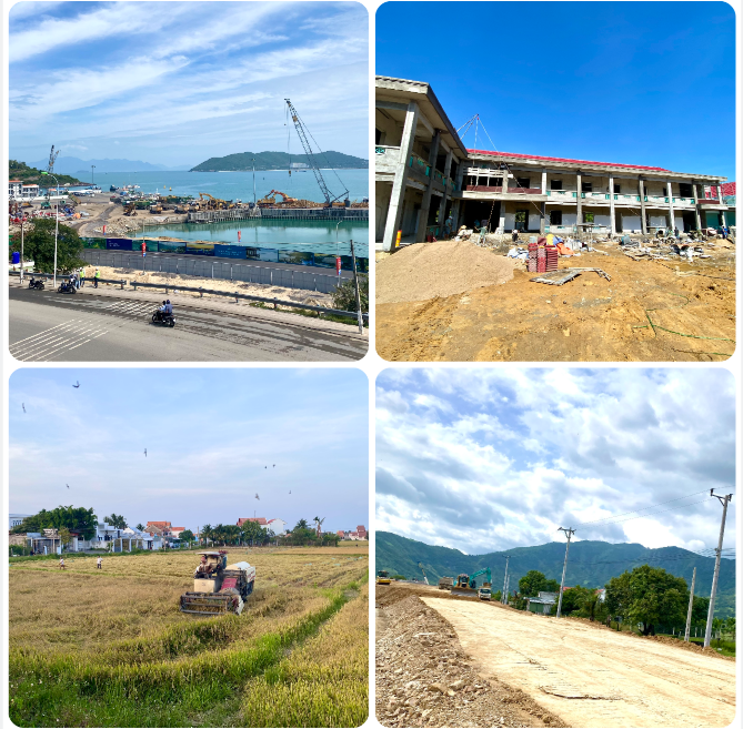 Quy định chức năng, nhiệm vụ, quyền hạn, cơ cấu tổ chức của Chi cục Quản lý đất đai